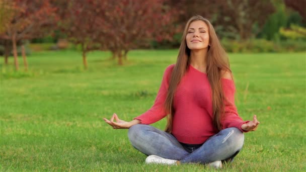 Grávida meditando na grama — Vídeo de Stock