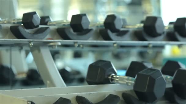 Programa de exercícios Dumbbell — Vídeo de Stock