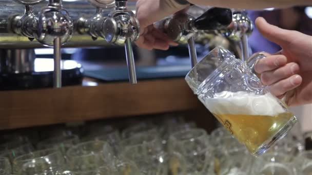 Cantinero vertiendo cerveza de barril en el bar — Vídeo de stock