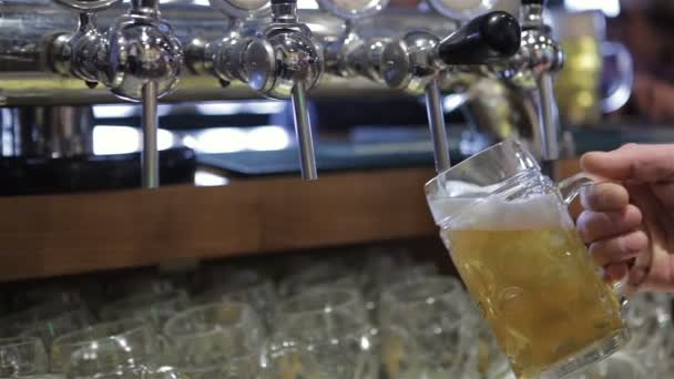 Verter cerveza fresca — Vídeo de stock