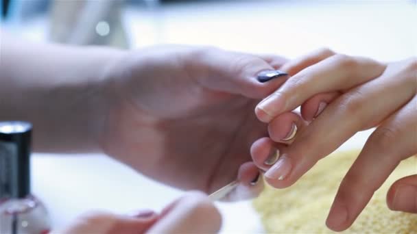 Uñas pulidas en un salón de belleza — Vídeo de stock