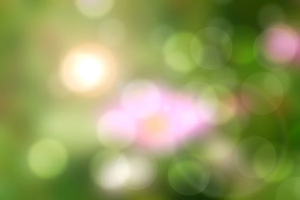 Green nature bokeh background abstract — Stock Photo, Image