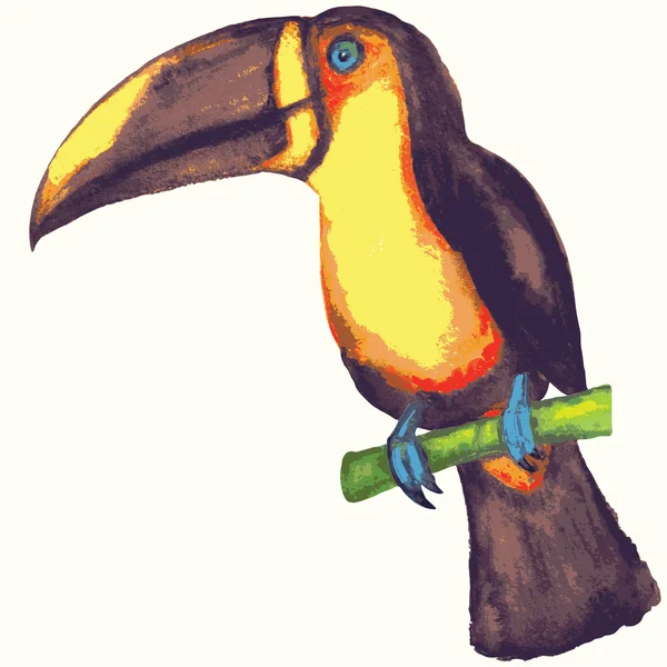 Akvarell toucan fågel sitter på en gren. — Stock vektor