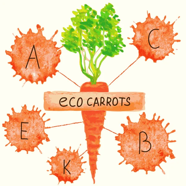 El contenido de vitaminas en las zanahorias . — Vector de stock