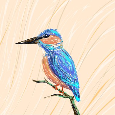 Daldaki Kingfisher Kuşu