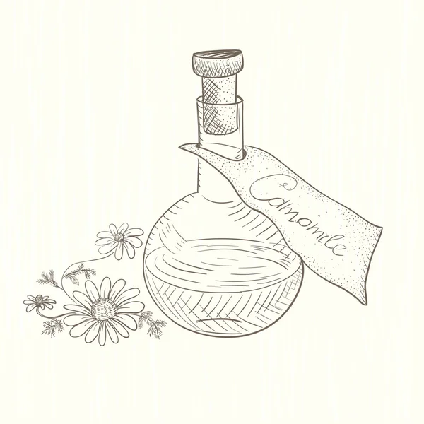 Flask con estratto di Camomilla — Vettoriale Stock