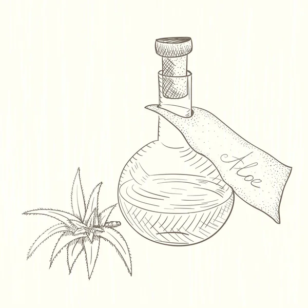 Flask con estratto di Aloe — Vettoriale Stock