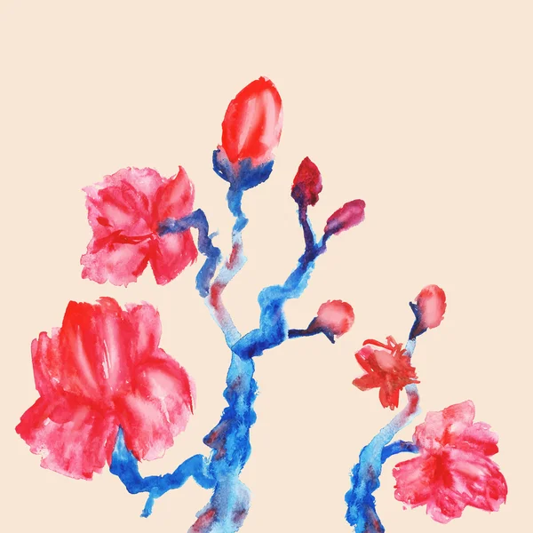 Branches d'un magnolia en fleurs . — Image vectorielle