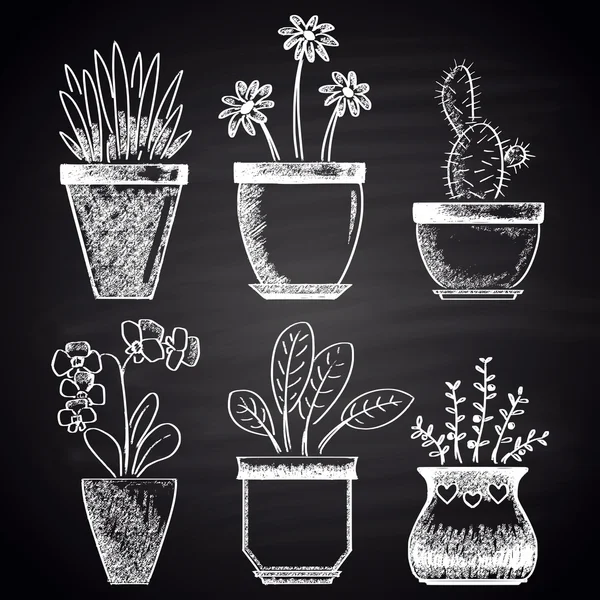 Flowerpots, plants, flowers set — Stockový vektor