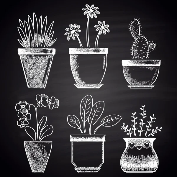 Flowerpots, plants, flowers set — Stock Illustration Flowerpots, plants, flowers set Stock Illustration