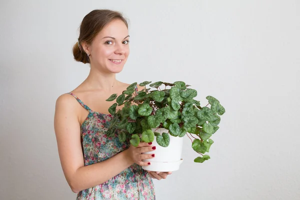 Jardinero de mujer asiática en macetas de nueva planta y trasplante de  macetas para plantas de interior.concepto de cuidado de plantas