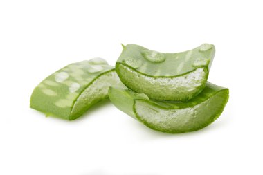 Aloe vera portre üzerinde beyaz izole