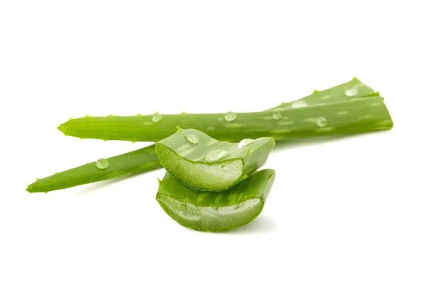 Primer plano de Aloe vera aislado en blanco — Foto de Stock