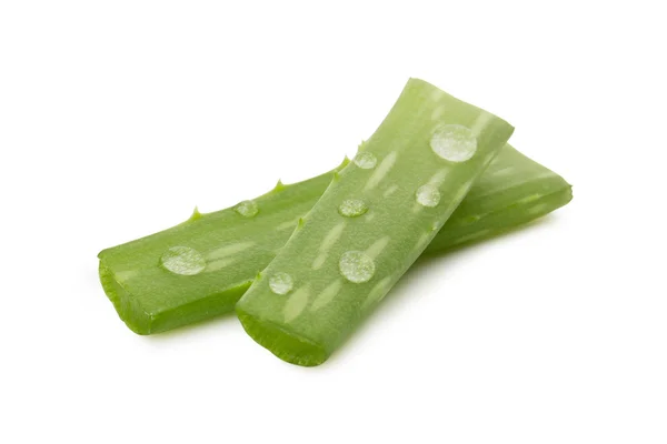 Primer plano de Aloe vera aislado en blanco — Foto de Stock