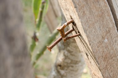 eski ahşap bahçe eski çivi