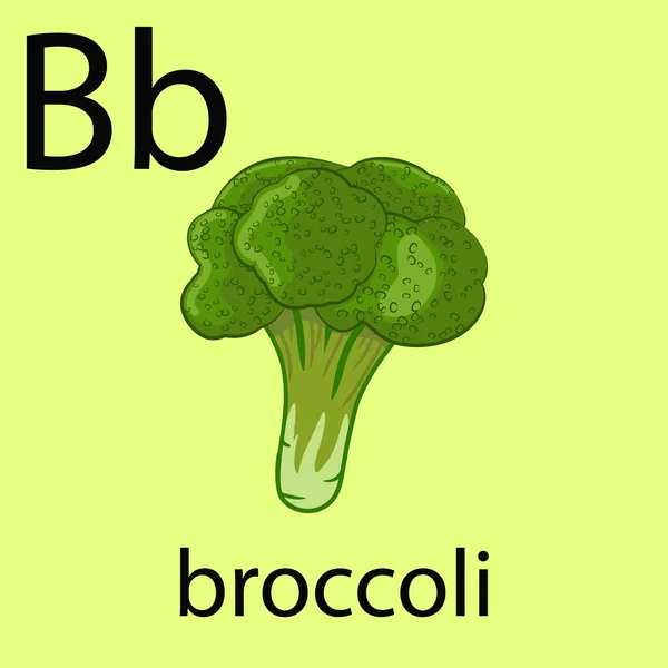 Hand dras broccoli illustration — Stock vektor