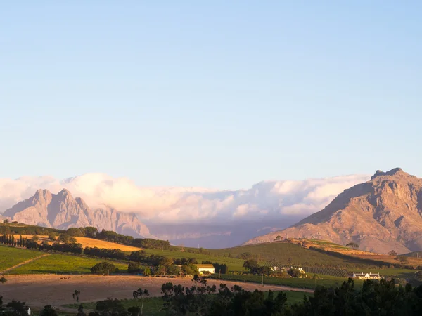 Landschaft in stellenbosch bei Sonnenuntergang — Stockfoto