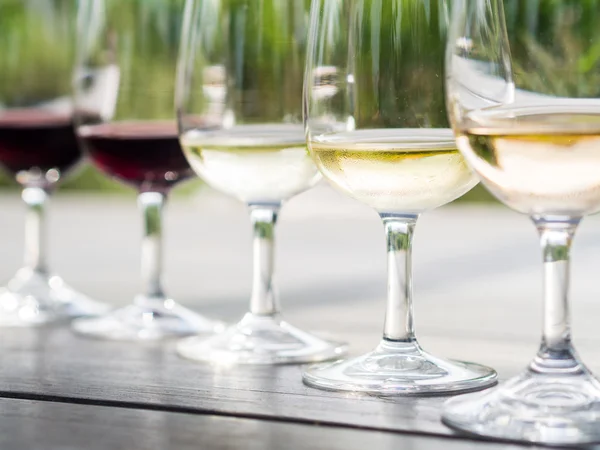 Wine tasting in Stellenbosch — Stock Photo, Image