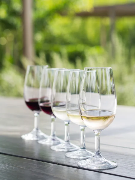 Дегустація вин в Стелленбош — стокове фото