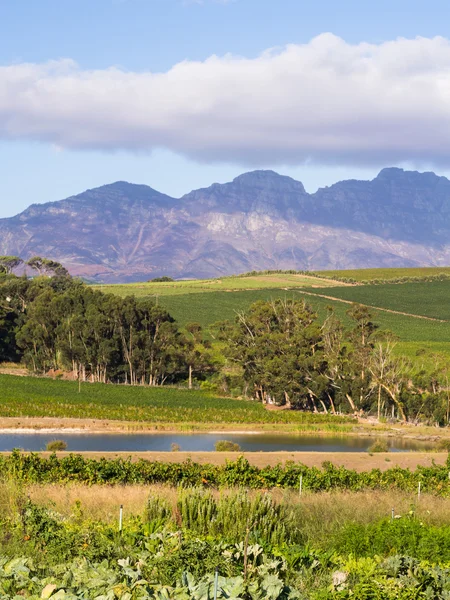 Stellenboschlandscape in Stellenbosch — Stockfoto