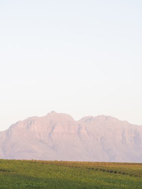 Manzara Stellenbosch, Güney Afrika.