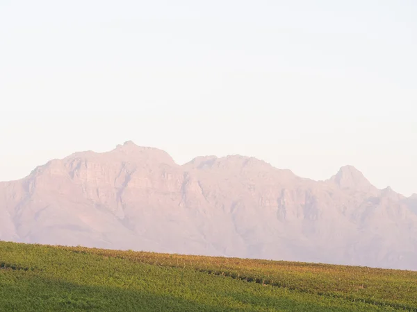 Krajobraz w Stellenbosch w RPA. — Zdjęcie stockowe