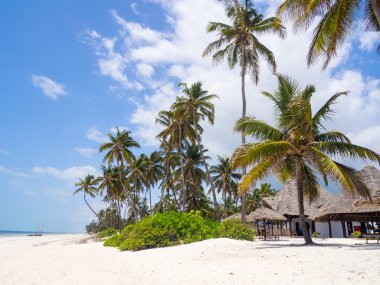Petek, Zanzibar Beach'de