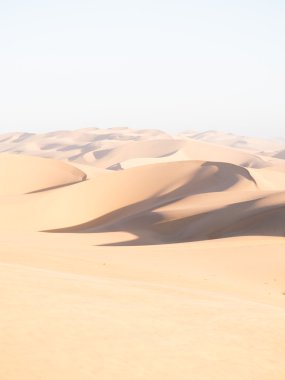 Namib Çölü güneş ışığı altında