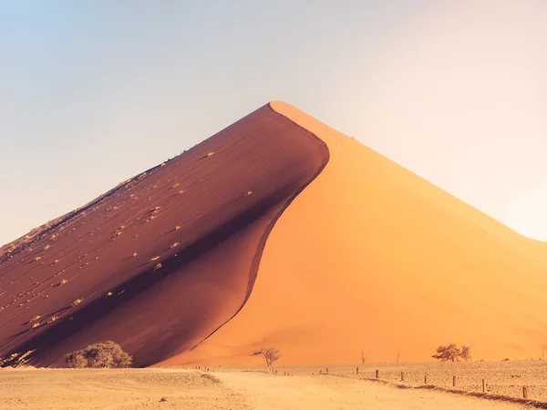 Αμμόλοφος στην έρημο namib — Φωτογραφία Αρχείου