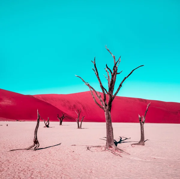Vörös sivatag és az encián ég — Stock Fotó