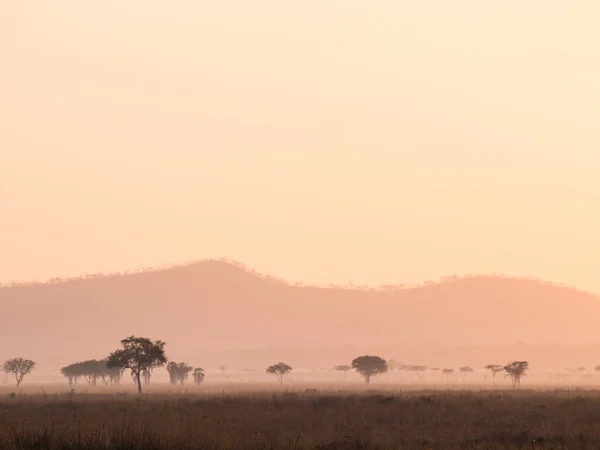 Africa Sunset — Stock Photo, Image
