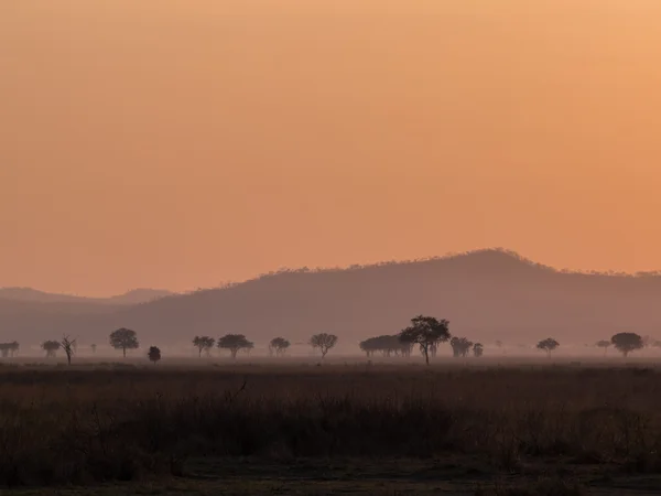 Tramonto Africa — Foto Stock