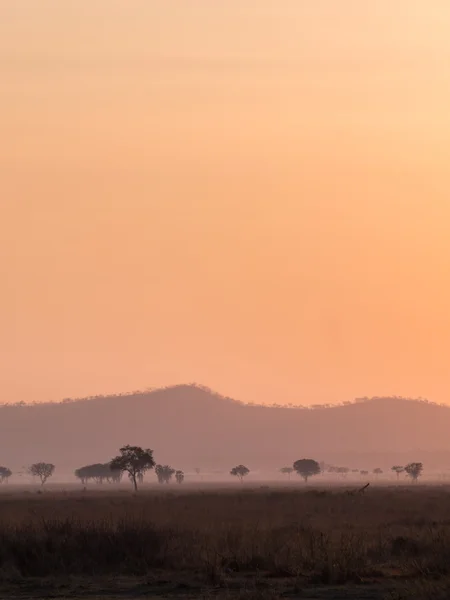 Tramonto Africa — Foto Stock