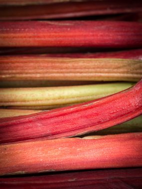Fresh rhubarb sold on a organic vegetable market. clipart
