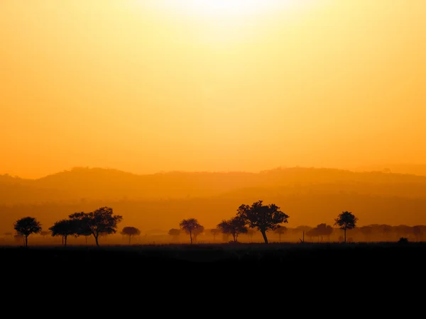 Tramonto Africa — Foto Stock