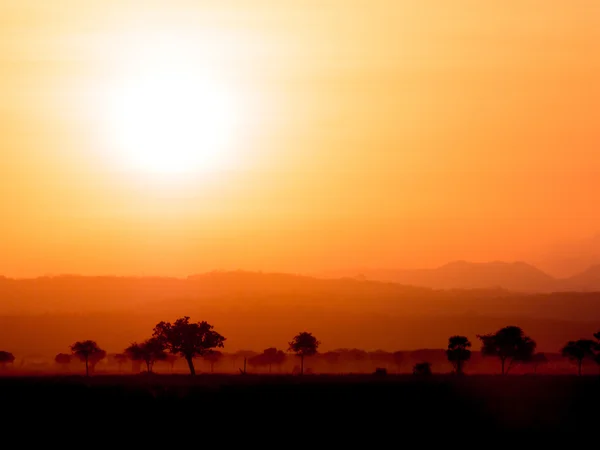 Tramonto Africa — Foto Stock