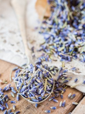 Kuru lavanta çiçekleri.