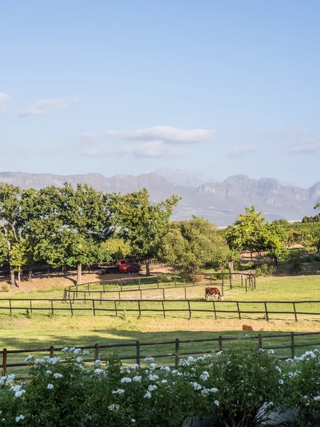 Landschap in West-Kaap regio in Zuid-Afrika. — Stockfoto