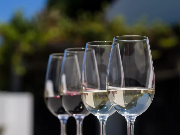 Wine glasses with wine — Stock Photo, Image