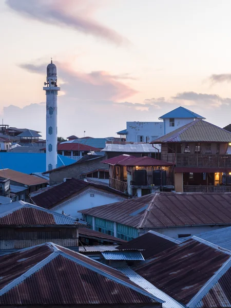 Architecture and typical roofs in Stone Town — Stock Photo, Image