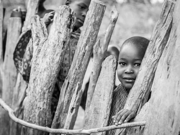 Maasai barn intill en trä get staket — Stockfoto