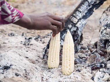 Masai Mısır yangında hazırlanıyor.