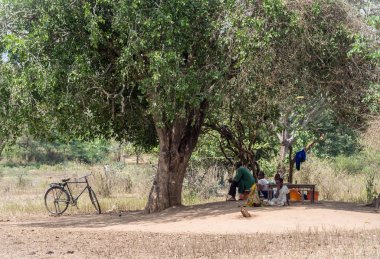 Çobanları restig bir ağacın altında