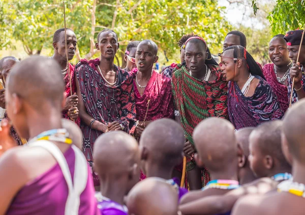 Женщины масаи танцуют и поют — стоковое фото