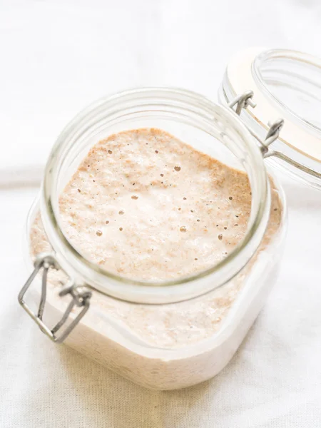 Rye sourdough starter — Stock Photo, Image