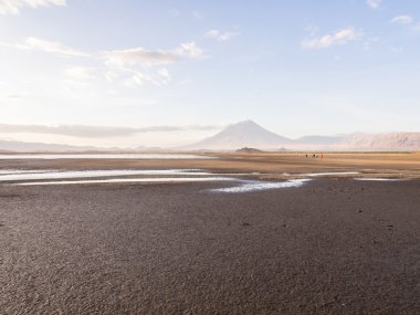 Kuzey Tanzanya aktif yanardağ