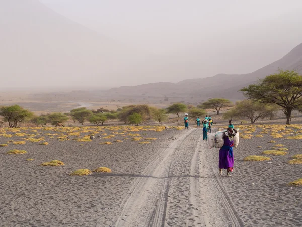 Estrada na região de Arusha — Fotografia de Stock