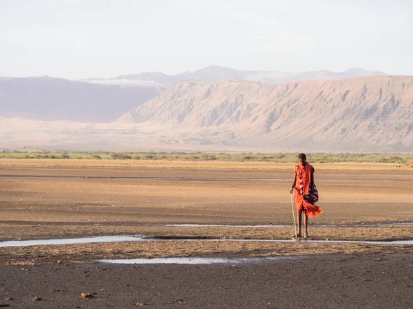 Geleneksel kırmızı elbiseler giyen Maasai savaşçı — Stok fotoğraf