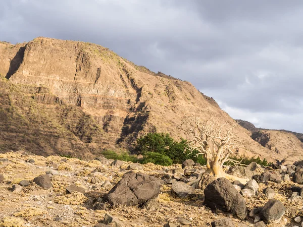 Arusha-Region — Stockfoto