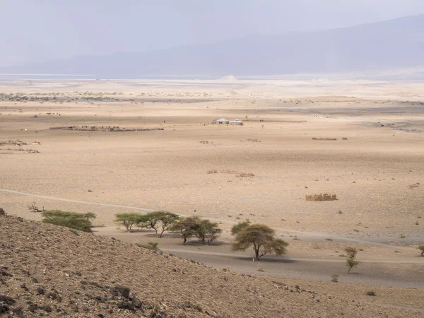 Liggande intill sjön Natron — Stockfoto